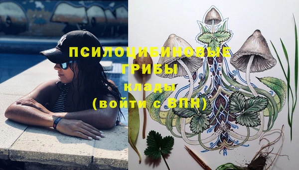 гашик Михайлов