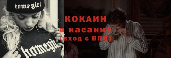 гашик Михайлов