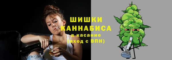 гашик Михайлов