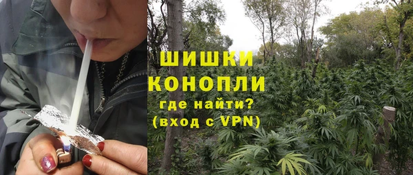 ГАЛЛЮЦИНОГЕННЫЕ ГРИБЫ Медногорск