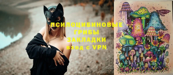 ГАЛЛЮЦИНОГЕННЫЕ ГРИБЫ Медногорск