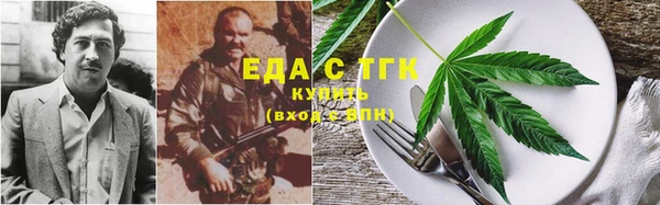 гашик Михайлов