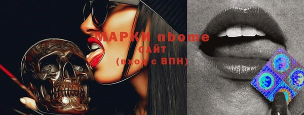 гашик Михайлов