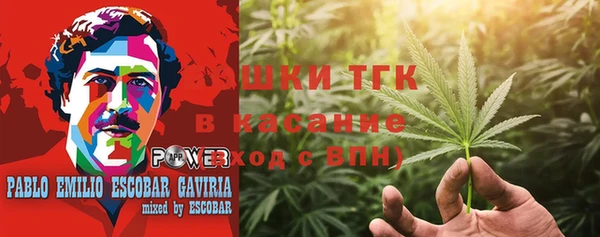 ECSTASY Майский