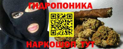 прущие грибы Заволжье