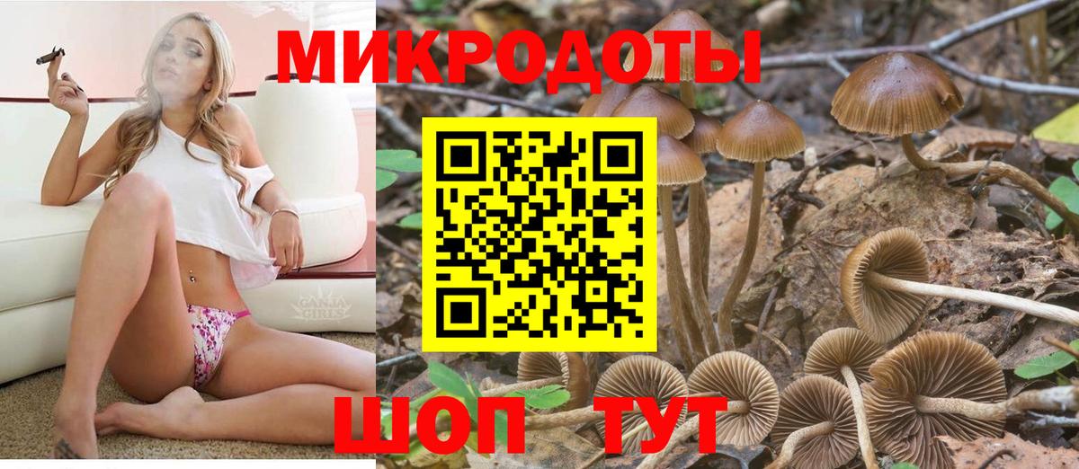 как найти закладки  Псилоцибиновые грибы мицелий  Вход с VPN  Мичуринск 