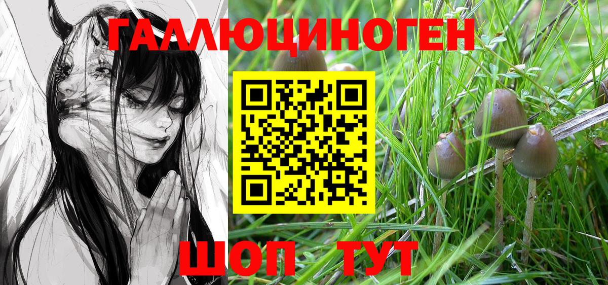 Галлюциногенные грибы Magic Shrooms Мичуринск